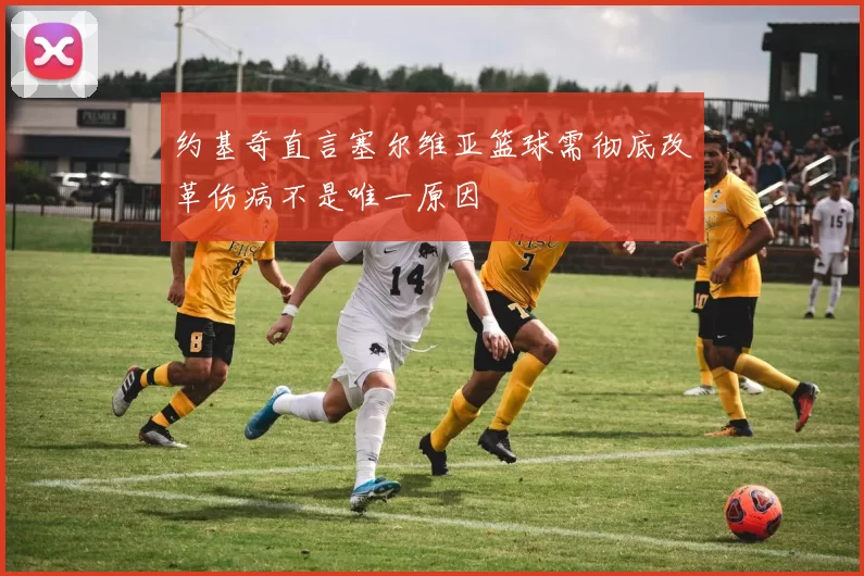 约基奇直言塞尔维亚篮球需彻底改革伤病不是唯一原因
